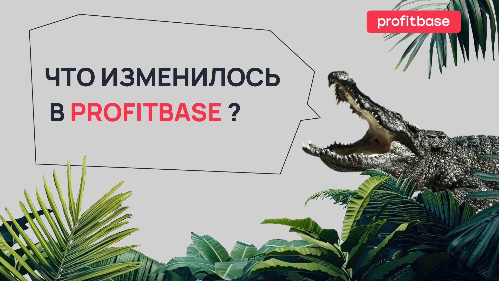 Обновления Profitbase